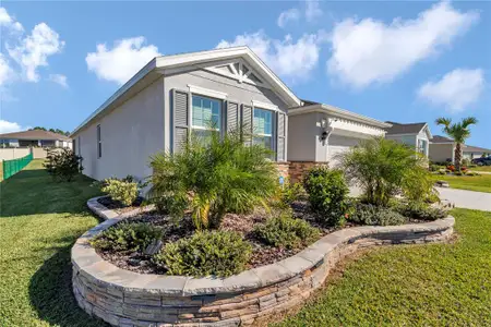 New construction Single-Family house 9352 Sw 60Th Court Rd, Ocala, FL 34476 plan DELRAY - image