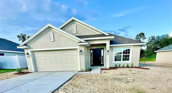 New construction Single-Family house 3227 Ne 46Th Ave, Ocala, FL 34470 - image