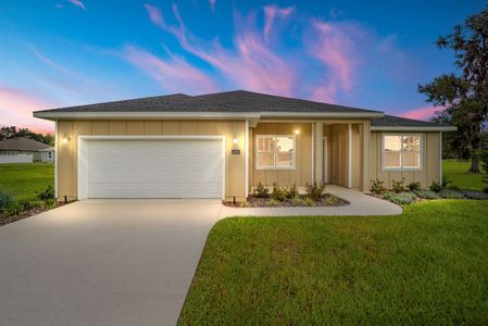 New construction Single-Family house 1115 Northwest 45th Place, Ocala, FL 34475 - photo 0