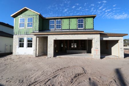 New construction Single-Family house 20050 Oriana Loop, Land O' Lakes, FL 34638 Santa Monica- photo 57 57