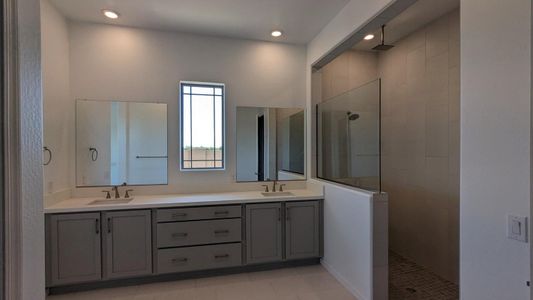 Sierra at Alamar by David Weekley Homes in Avondale - photo 30 30