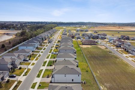 New construction Single-Family house 12219 Hilltop Farms Dr, Dade City, FL 33525 Malibu- photo 291 291