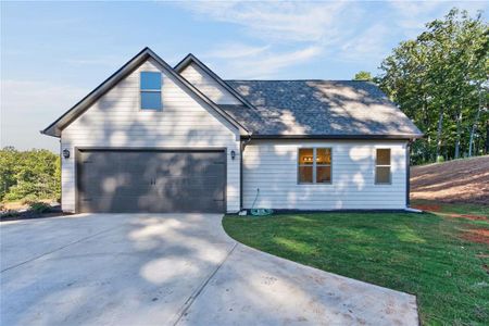 New construction Single-Family house 141 Hannahs Ct, Dawsonville, GA 30534 - image