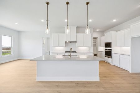 New construction Single-Family house 120 Rancher Trl, Waxahachie, TX 75165 plan Belmont - image 10