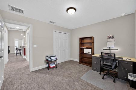 New construction Single-Family house 22081 Sw Pine Bluffs Rd, Dunnellon, FL 34431 - image 13