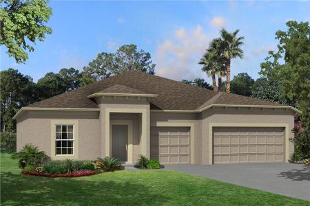 New construction Single-Family house 4969 Eagle Rock Dr, Wimauma, FL 33598 null- photo 1 1