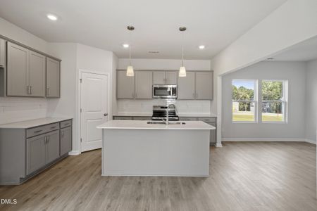 New construction Single-Family house 22 Sagamore Ave, Angier, NC 27501 plan Telfair - image 8