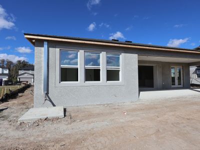 New construction Single-Family house 31266 Hayman Lp, Wesley Chapel, FL 33545 plan Corina  III - image