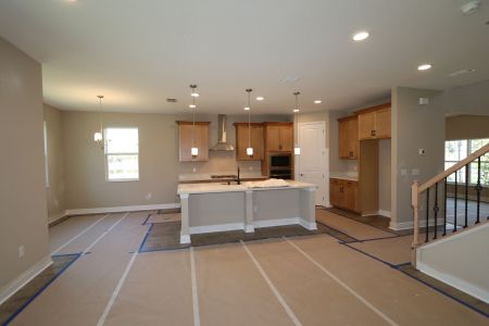 New construction Single-Family house 20125 Oriana Loop, Land O' Lakes, FL 34638 Santina II- photo 157 157