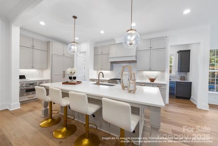 New construction Single-Family house 19155 Newburg Hill Rd, Davidson, NC 28036 null- photo 8 8