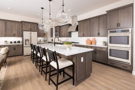 New construction Single-Family house 29316 N 17th Wy, Phoenix, AZ 85085 plan Heron - image 9