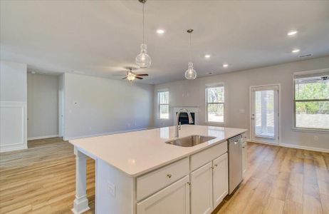 New construction Single-Family house 123 Felicity Pike, Locust Grove, GA 30248 Meridian II- photo 22 22