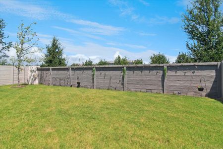 New construction Single-Family house 4916 Walking Stick Rd, McKinney, TX 75071 plan Brice - image