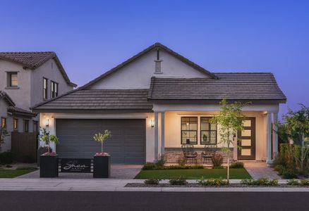 New construction Single-Family house 21262 E Seagull Dr, Queen Creek, AZ 85142 null- photo 4 4