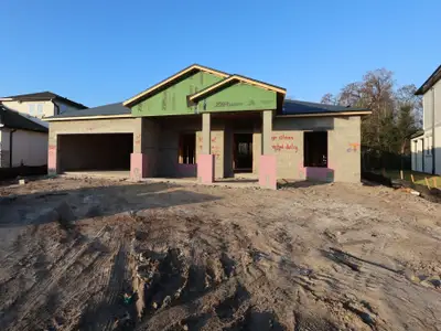 New construction Single-Family house 31227 Hayman Lp, Wesley Chapel, FL 33545 plan Roxbury Bonus - image