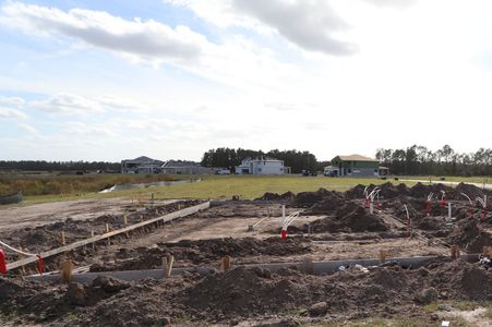 New construction Single-Family house 1878 Drummond Pt, Zephyrhills, FL 33541 Corina II Bonus- photo 7 7