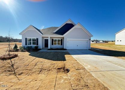 New construction Single-Family house 260 Freedom Heights Ln, Smithfield, NC 27577 - image