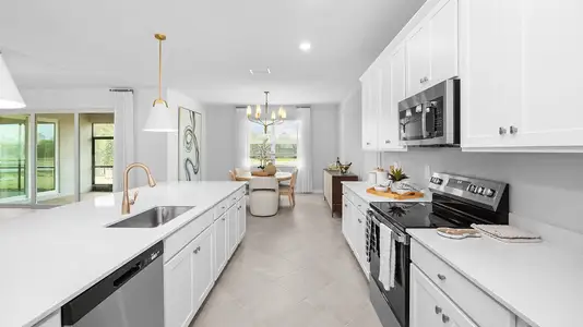 Brightwater Lagoon: Manor Homes 6