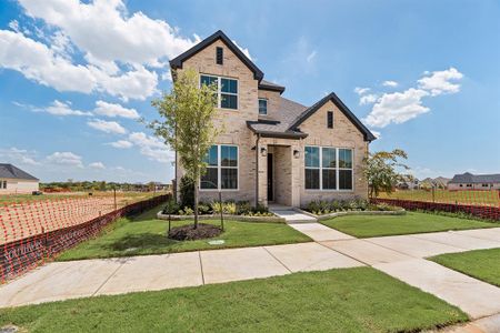 New construction Single-Family house 312 Kite St, Celina, TX 75009 plan Woodsboro - S3330 - image