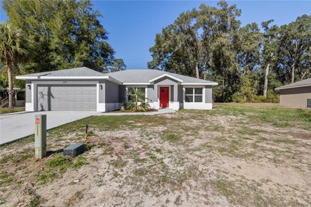 New construction Single-Family house 3325 Se 131St Pl, Belleview, FL 34420 null- photo 0