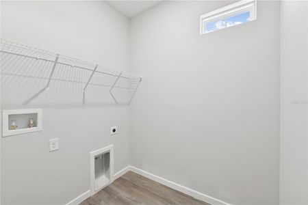 New construction Single-Family house 17851 Sw 68Th Pl, Dunnellon, FL 34432 plan Palomino - image 17