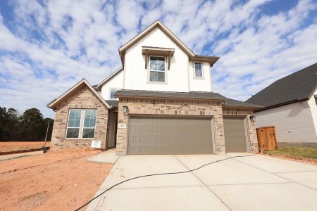 New construction Single-Family house 14856 Shorthorn Run Ln, Montgomery, TX 77316 plan Longspur - image