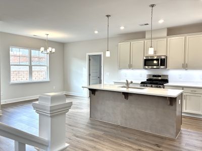 New construction Single-Family house 309 Blaine Ct, Greenville, SC 29607 plan The Calle - image 9