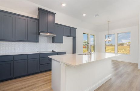 New construction Single-Family house 6048 Mango Dr, Sanger, TX 76266 - image 6