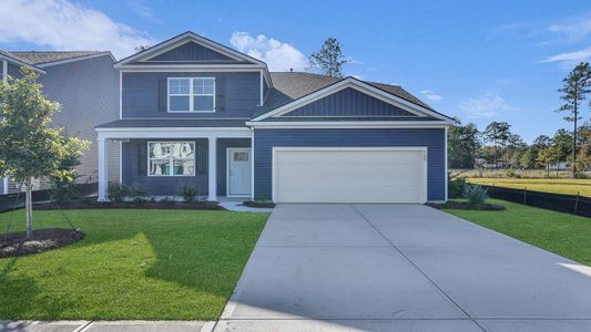 New construction Single-Family house 186 Bee Tree Blvd, Summerville, SC 29486 plan Salem - image