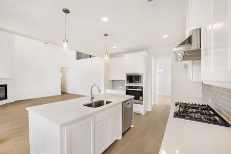 New construction Single-Family house 11465 Wulstone Dr, Fort Worth, TX 76052 plan 1687 - image 8