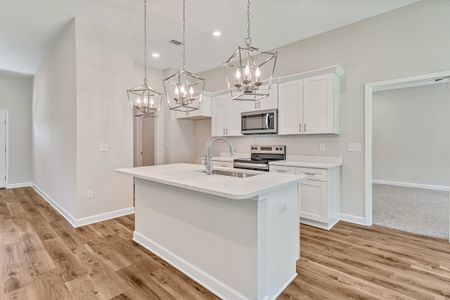 New construction Single-Family house 1342 Hornbeam Dr, Baker, FL 32531 plan Sierra - image 5