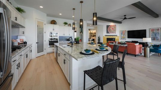 Canyon Views – 70’ Sunrise Series by David Weekley Homes in Litchfield Park - photo 13 13