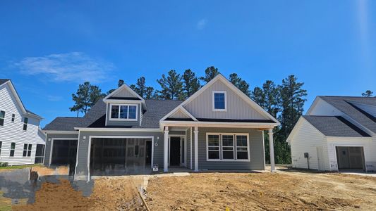 New construction Single-Family house 194 Huguenot Trail, Huger, SC 29450 Anson- photo 0