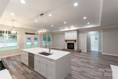 New construction Single-Family house 4531 Dry Run Rd, Fort Mill, SC 29708 null- photo 3 3