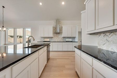 New construction Single-Family house 1329 Sundance Ln, Justin, TX 76247 plan Grand Alexandria - image 12