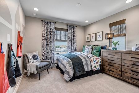 New construction Single-Family house 43254 N Hinoki St, Queen Creek, AZ 85140 Colony- photo 27 27
