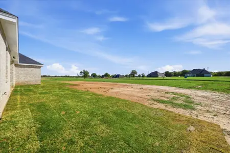 New construction Single-Family house 11 Cattleman Dr, Poolville, TX 76487 plan The Iris - image 19