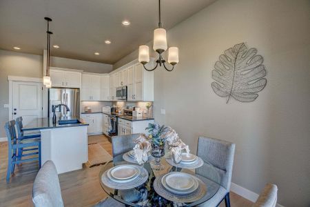 New construction Townhouse house 3425 Triano Creek Dr, Unit 101, Loveland, CO 80538 null- photo 116 116