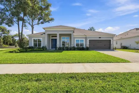 New construction Single-Family house 3328 Forest Packs Lp, Apopka, FL 32712 plan Brookhaven Fl - image