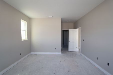 New construction Single-Family house 20050 Oriana Loop, Land O' Lakes, FL 34638 Santa Monica- photo 81 81