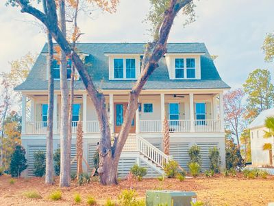 New construction Single-Family house 3925 Delinger Drive, Mount Pleasant, SC 29466 - photo 0