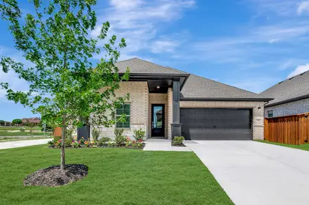 New construction Single-Family house 172 Summer Rain Wy, Newark, TX 76071 plan Goldenrod II - image