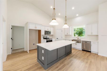 New construction Single-Family house 5912 Ne 57Th Lp, Silver Springs, FL 34488 - image 19