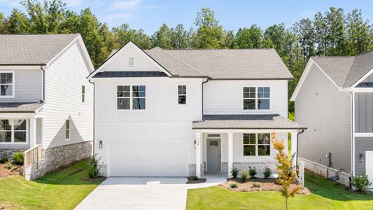 New construction Single-Family house 23 Hampton Ter, Dallas, GA 30157 plan Hayden - image