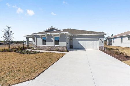 New construction Single-Family house 10128 Sw 106Th Cir, Ocala, FL 34481 - image