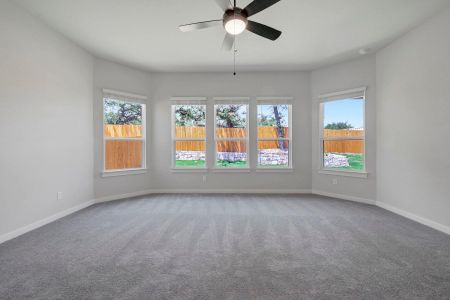 New construction Single-Family house 474 Bishop Wood Rd, Dripping Springs, TX 78620 plan Paramount II - image 17