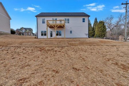 New construction Single-Family house 19 Bridgemill Dr, Douglasville, GA 30134 null- photo 39 39