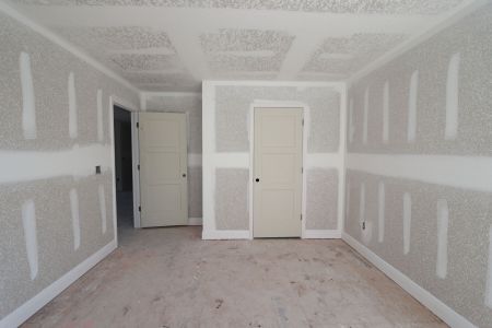 New construction Single-Family house 20264 Oriana Loop, Land O' Lakes, FL 34638 Santa Monica- photo 92 92