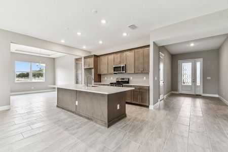 New construction Single-Family house 12505 White Blossom Ct, Parrish, FL 34219 plan Sapphire - image 13