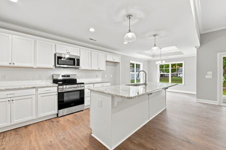 New construction Single-Family house 2325 Rhinestone Dr, Winterville, NC 28590 plan Ivy - image 9